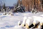 картинки с изображением зимнего пейзажа